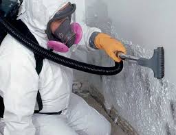 Best Emergency Mold Remediation  in Denham Springs, LA